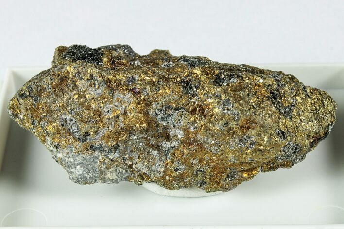 Brassy Cubanite Specimen - Sweden #345064